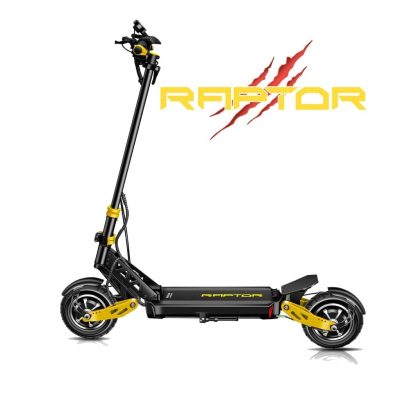 Dragon Raptor